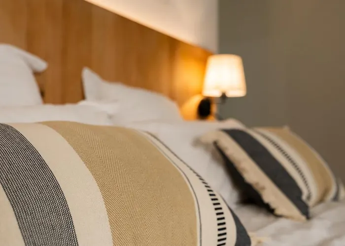 Chateau De Roques מלון