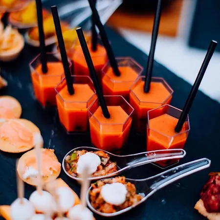 酒店 Chateau De Roques Teilhet (Ariege)